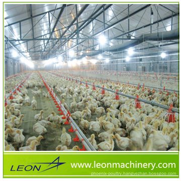 hot sale poultry Broiler poultry farming equipment